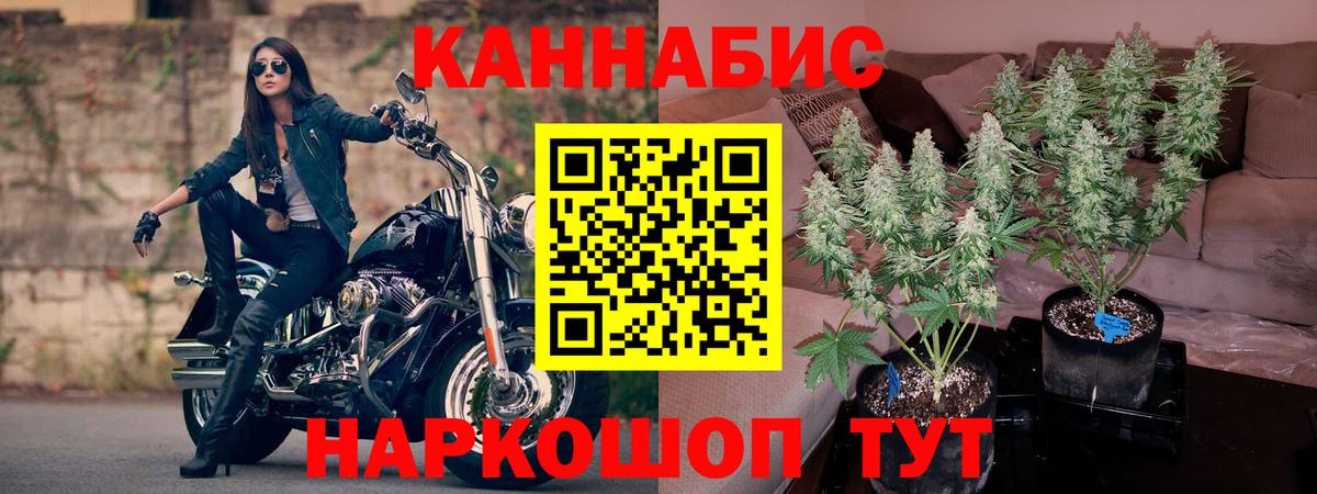 Каннабис OG Kush Долгопрудный